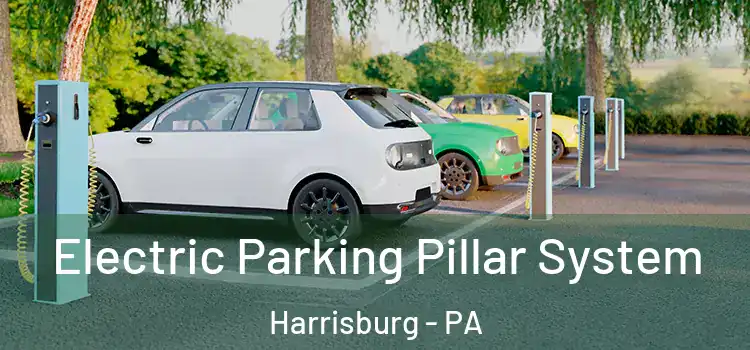 Electric Parking Pillar System Harrisburg - PA
