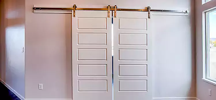 Glass Barn Door with Installation Hardware Kit Harrisburg