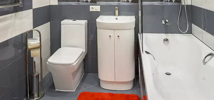 Hansgrohe Shaving Mirror Harrisburg