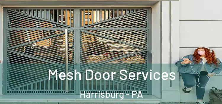 Mesh Door Services Harrisburg - PA